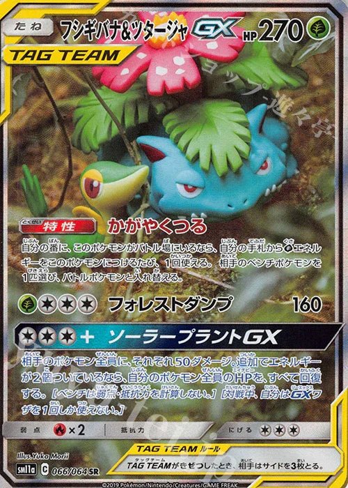 Pokemon Japanese Remix Bout SM11A Display